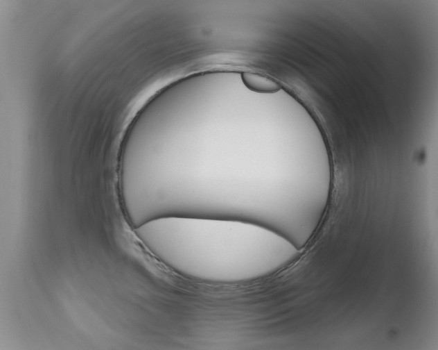 X0000112801435200908210952