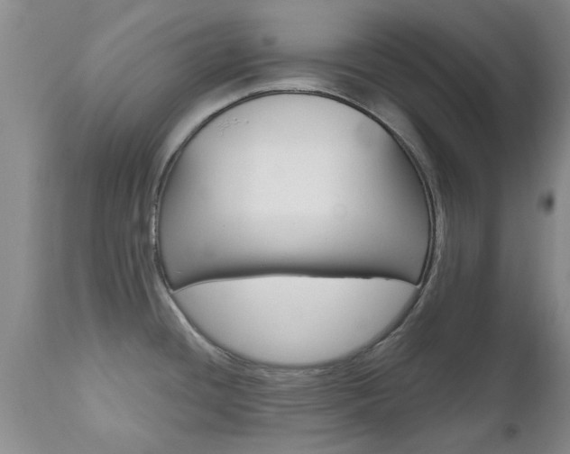 X0000112801436200908210952