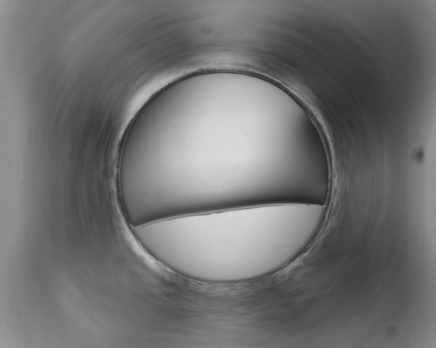 X0000112801437200908210952