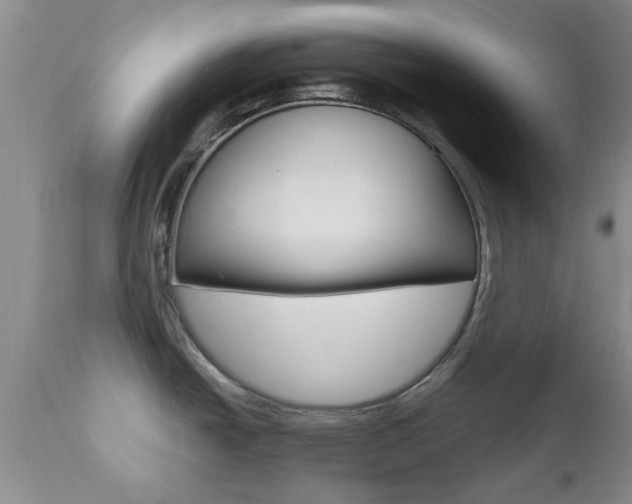 X0000112801438200908210952