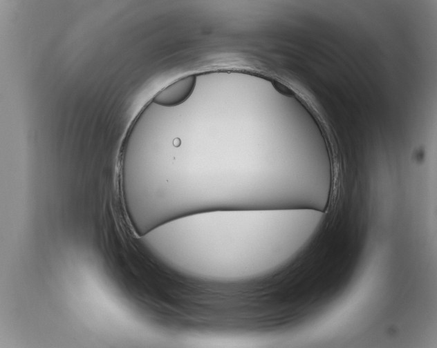 X0000112801439200908210952