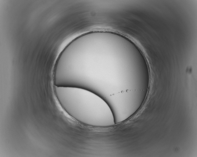 X0000112801440200908210952