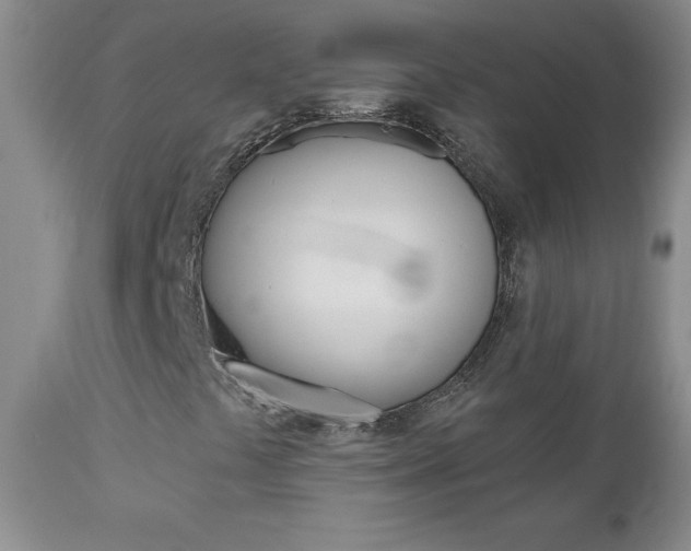 X0000112801441200908210952