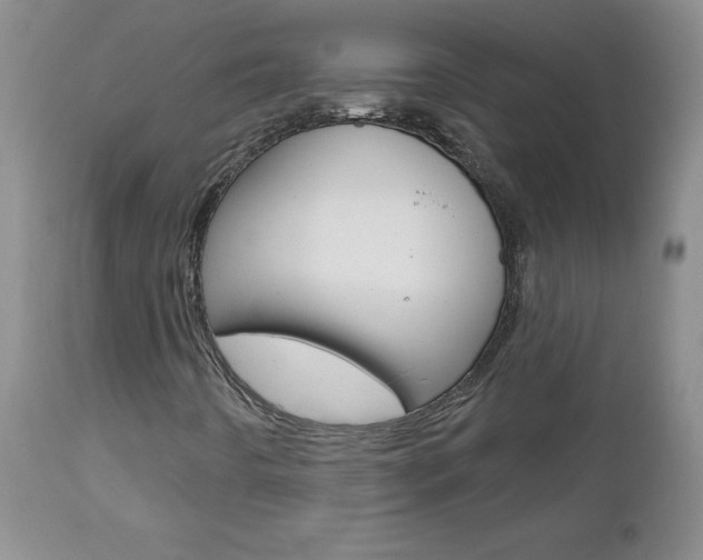 X0000112801442200908210952