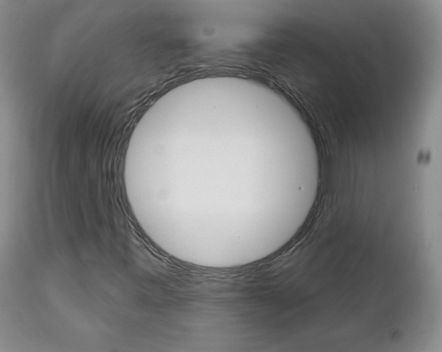 X0000112801443200908210952