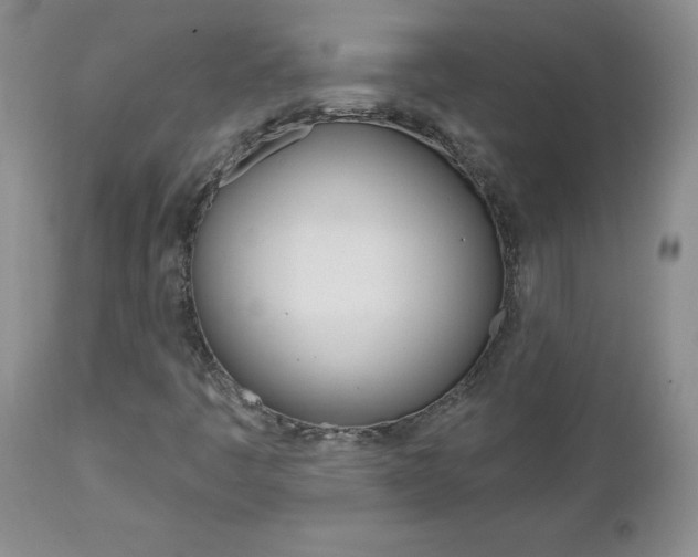 X0000112801445200908210952