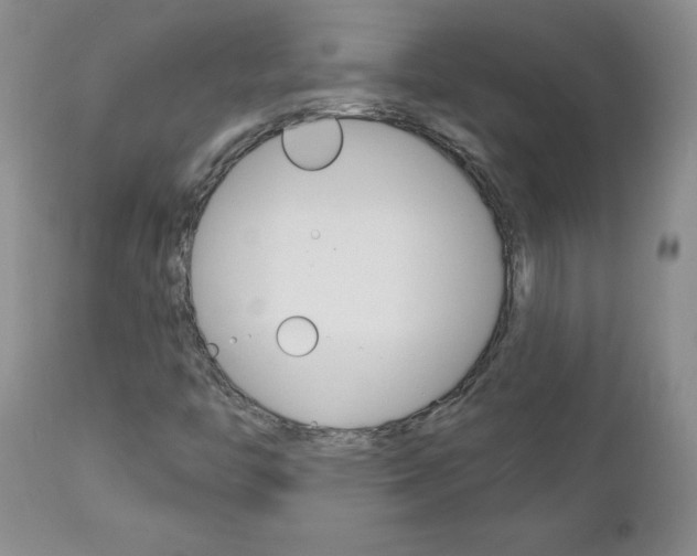 X0000112801446200908210951