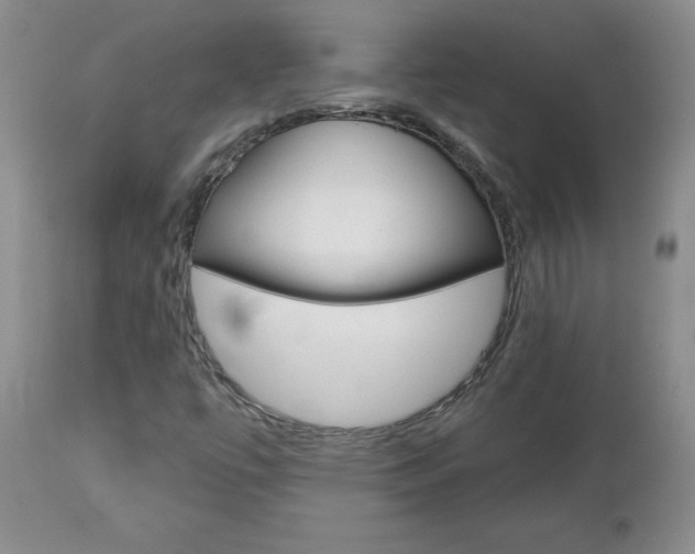X0000112801447200908210951