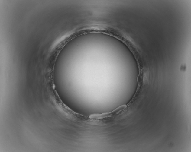 X0000112801448200908210951