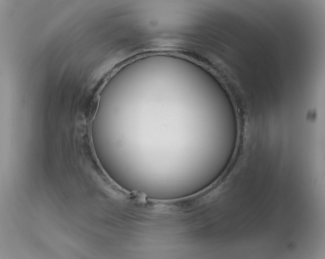 X0000112801449200908210951