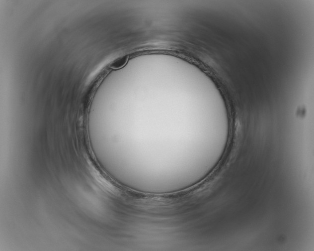 X0000112801450200908210951