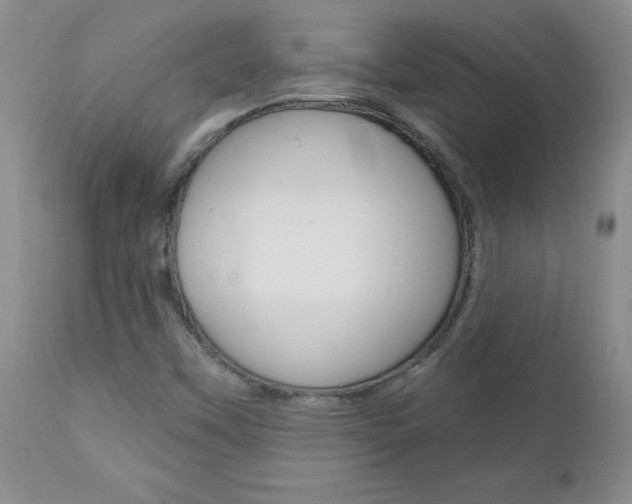 X0000112801451200908210951