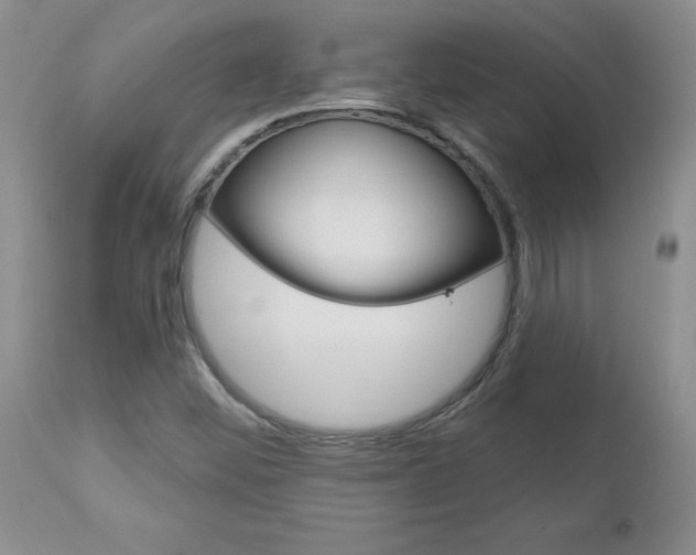 X0000112801452200908210951