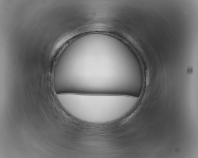 X0000112801453200908210951