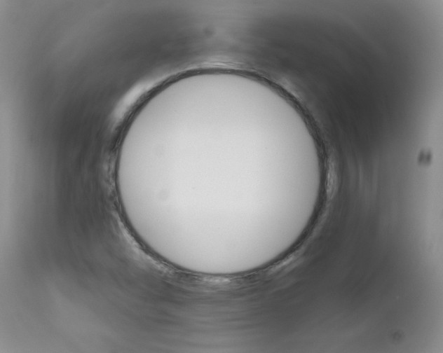 X0000112801454200908210951