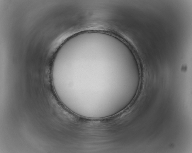 X0000112801455200908210951