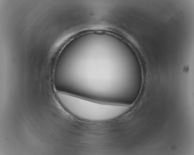 X0000112801456200908210951