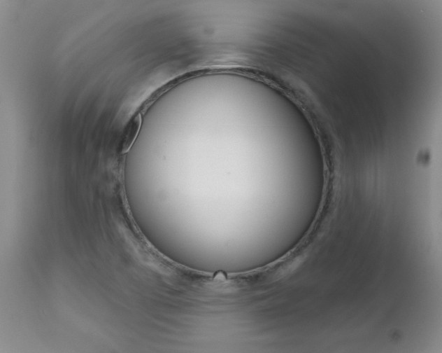 X0000112801457200908210951