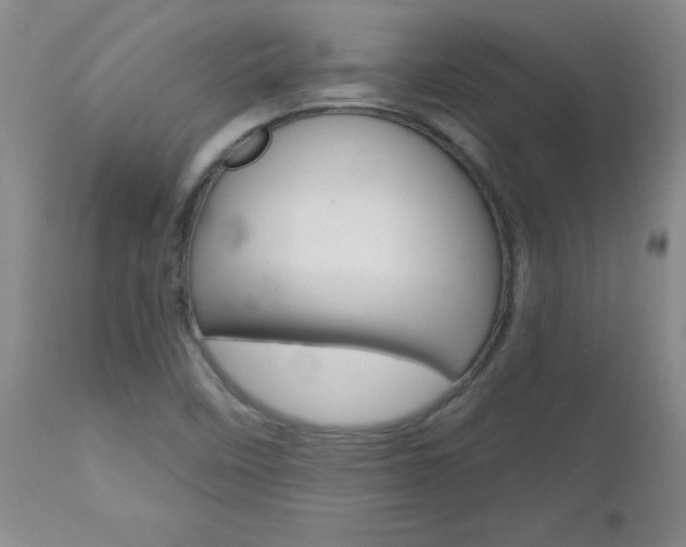 X0000112801458200908210951