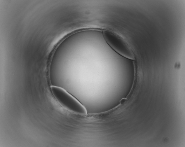 X0000112801460200908210951