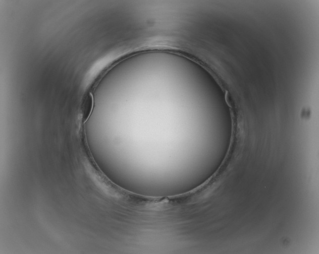 X0000112801461200908210951