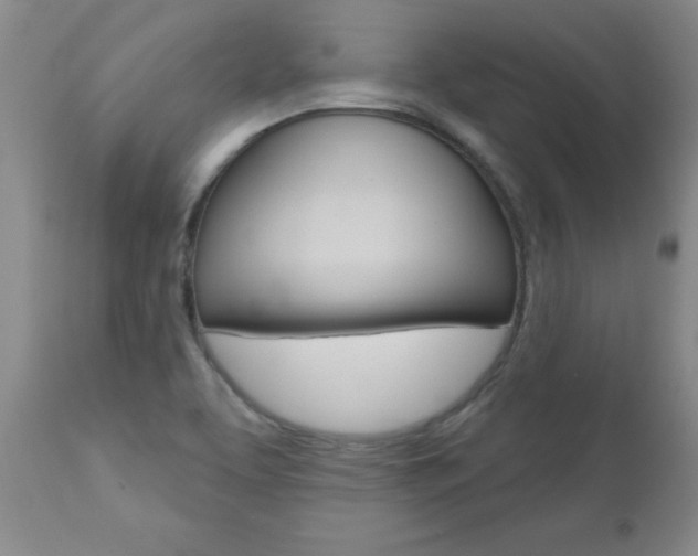 X0000112801463200908210951
