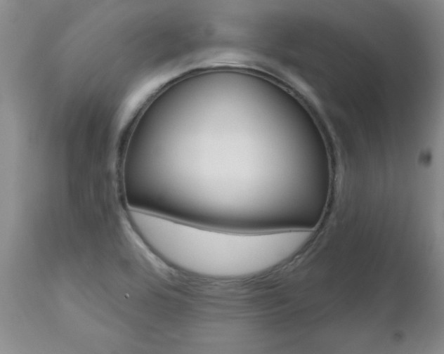 X0000112801464200908210951