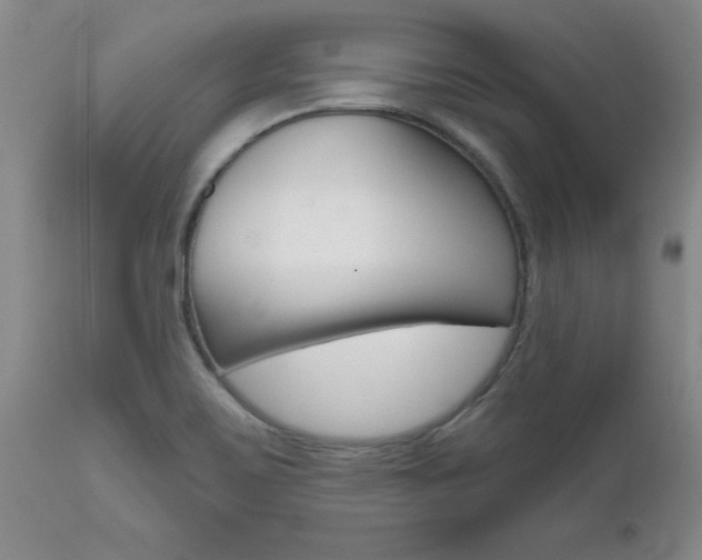 X0000112801467200908210951