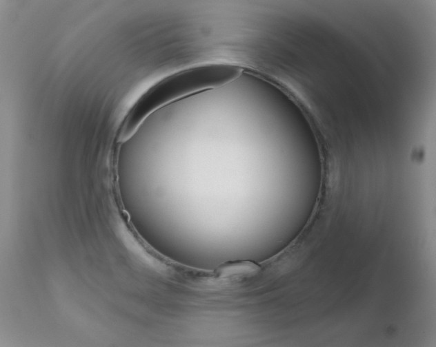 X0000112801468200908210951
