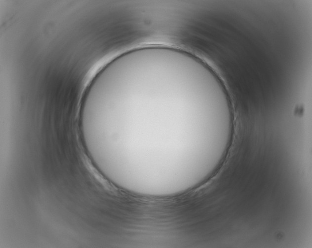 X0000112801469200908210951