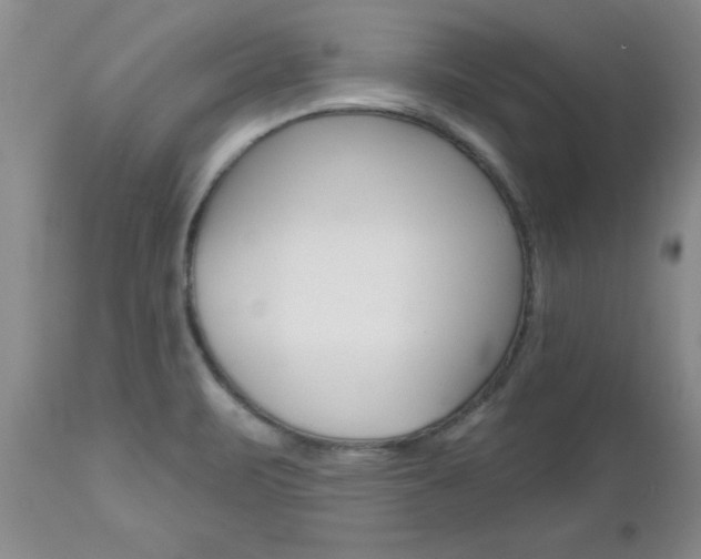 X0000112801471200908210951