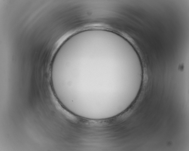 X0000112801474200908210951