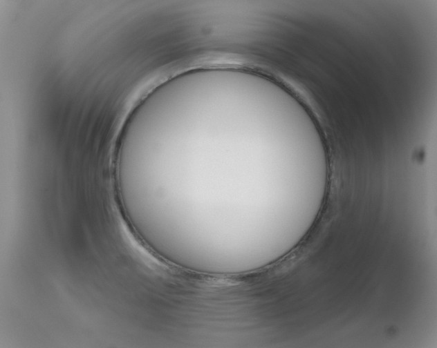 X0000112801475200908210951
