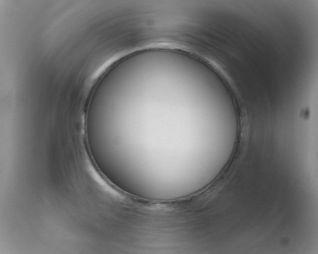 X0000112801476200908210951