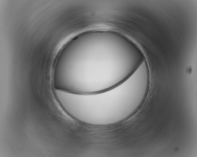 X0000112801477200908210951