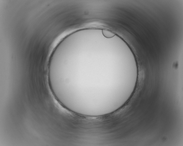 X0000112801478200908210951