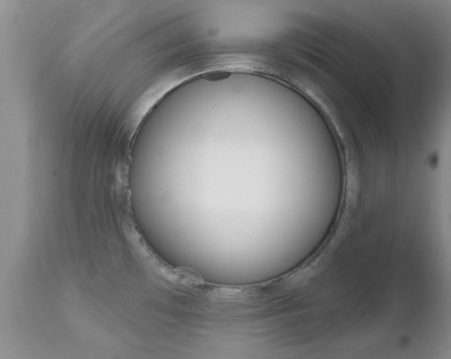 X0000112801481200908210951