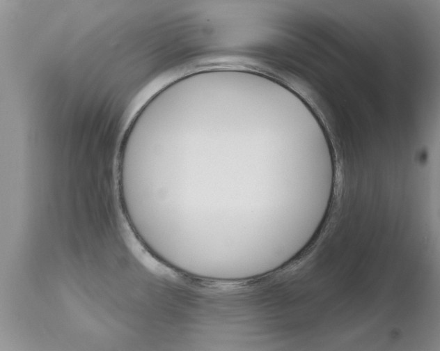 X0000112801482200908210951