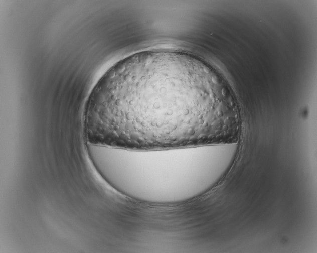 X0000112801483200908210951