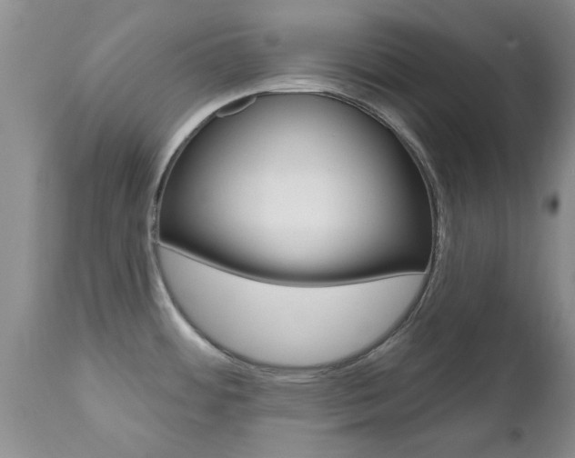 X0000112801484200908210951