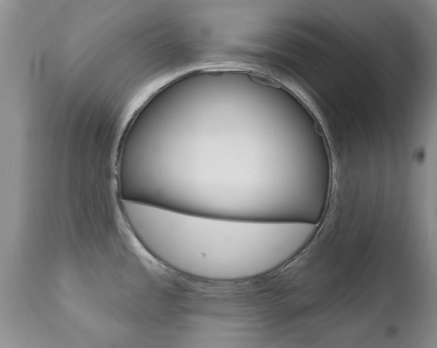 X0000112801485200908210951