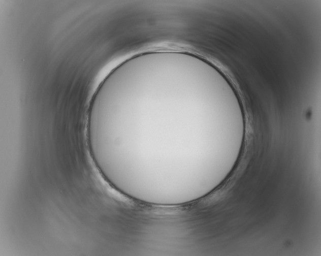 X0000112801486200908210951