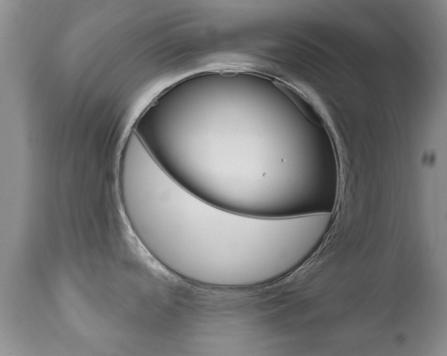 X0000112801488200908210951