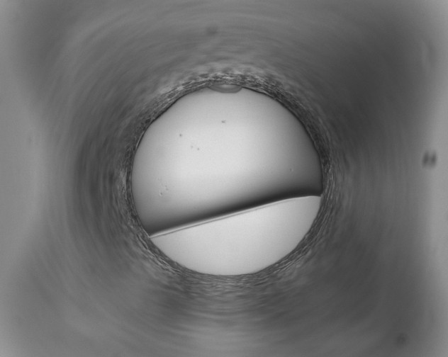X0000112801489200908210950