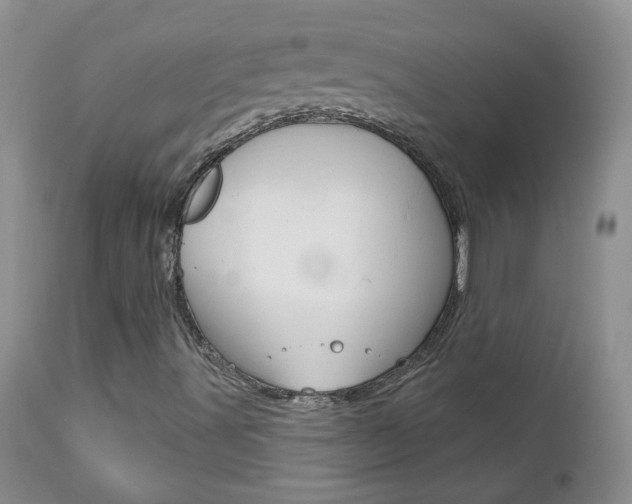 X0000112801491200908210950