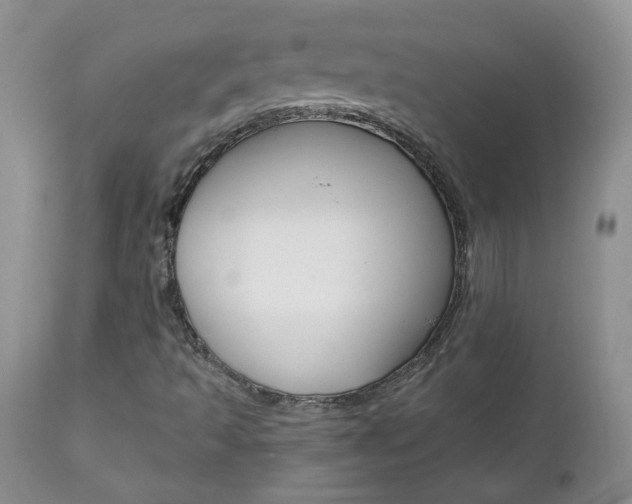 X0000112801493200908210950