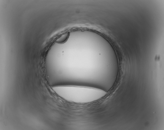 X0000112801494200908210950