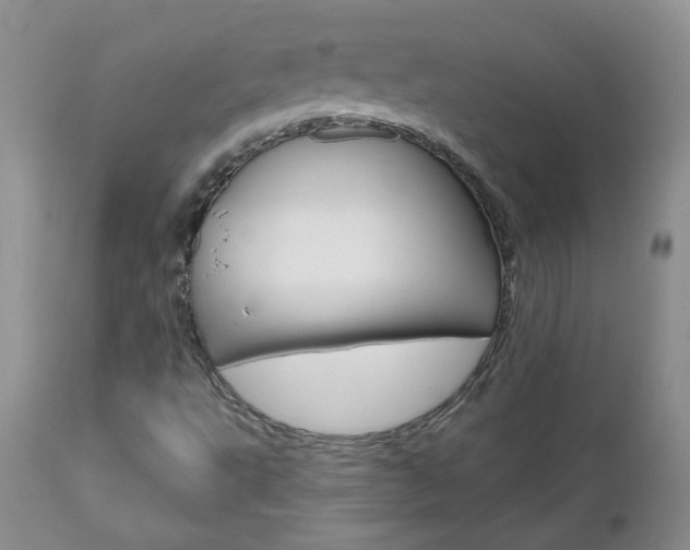 X0000112801495200908210950