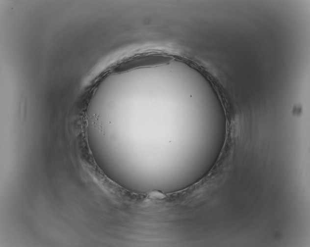 X0000112801496200908210950