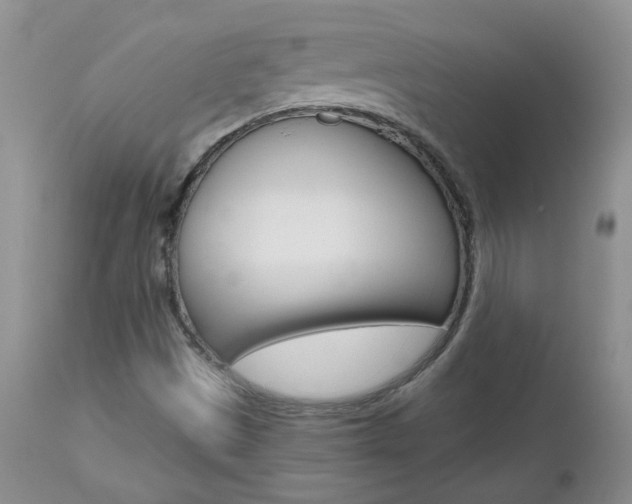 X0000112801497200908210950